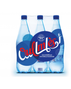 Pack Oulmes 1L X 6