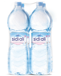 Pack Sidi Ali 2L x4
