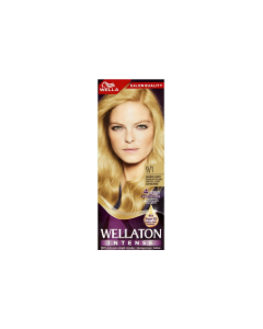 Wellaton mousse coloration shade 9/1
