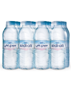 Pack Sidi Ali 33cl x12