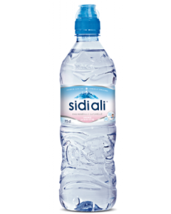 Sidi Ali Eau Minérale 75cl