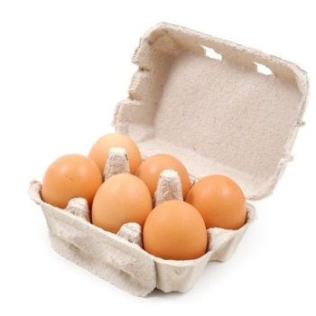 Pack oeufs 6 pieces