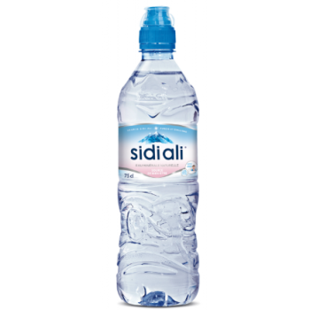 Sidi Ali Eau Minérale 75cl