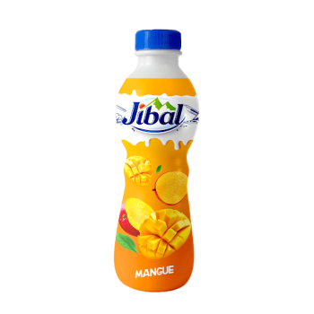 Yaourt A Boire Jibal  Mangue 380G