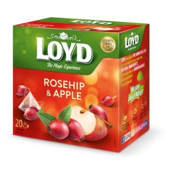 Loyd assortiment de thés canneberge et gingembre 20 sachets